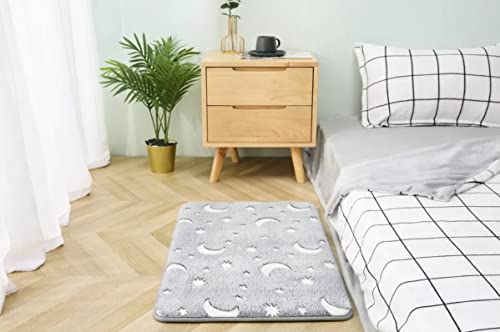 Radium Glow in Dark Door Mat 60x40cm - Image 10