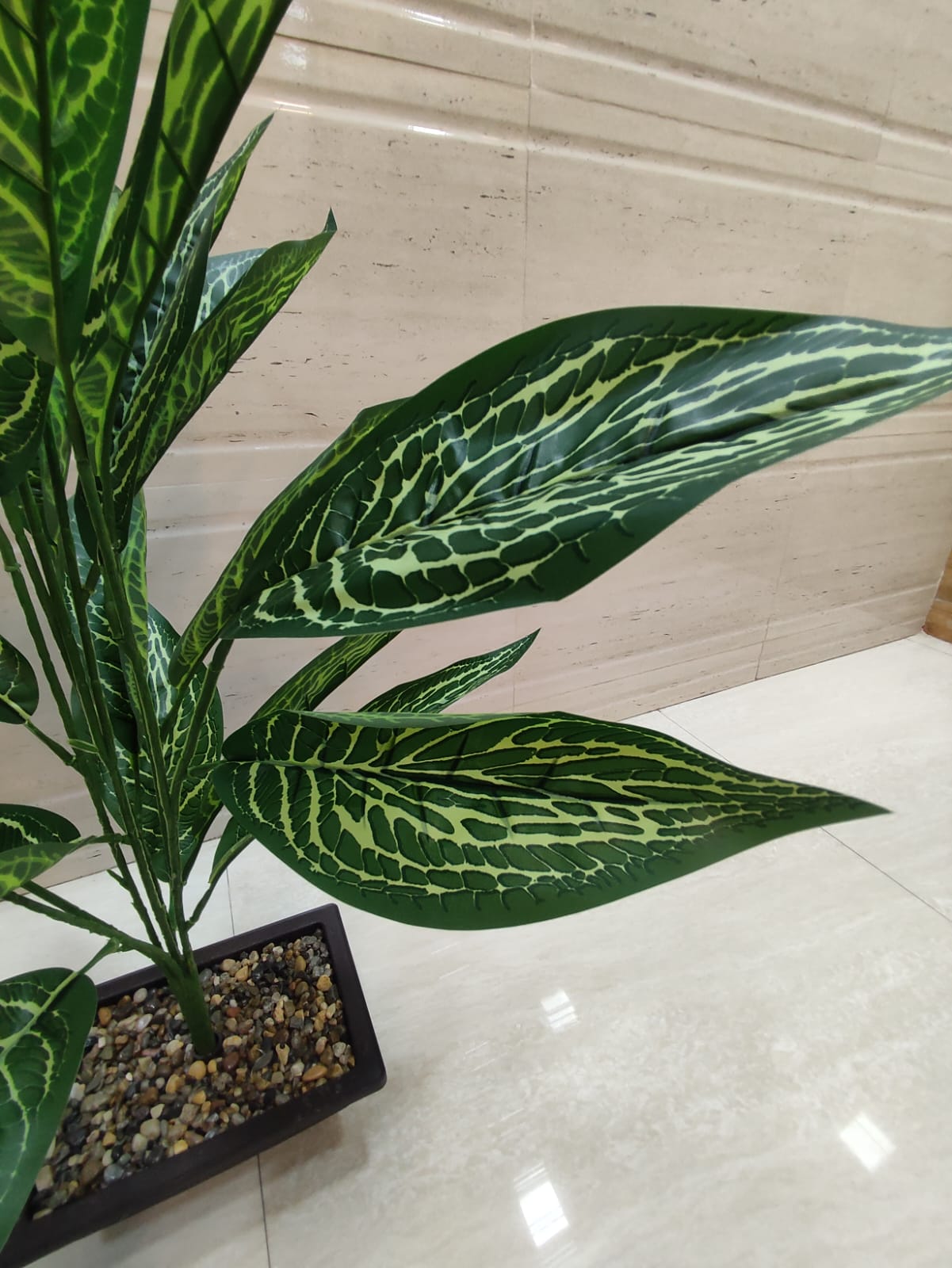 Artificial Calathea Plant - Image 2