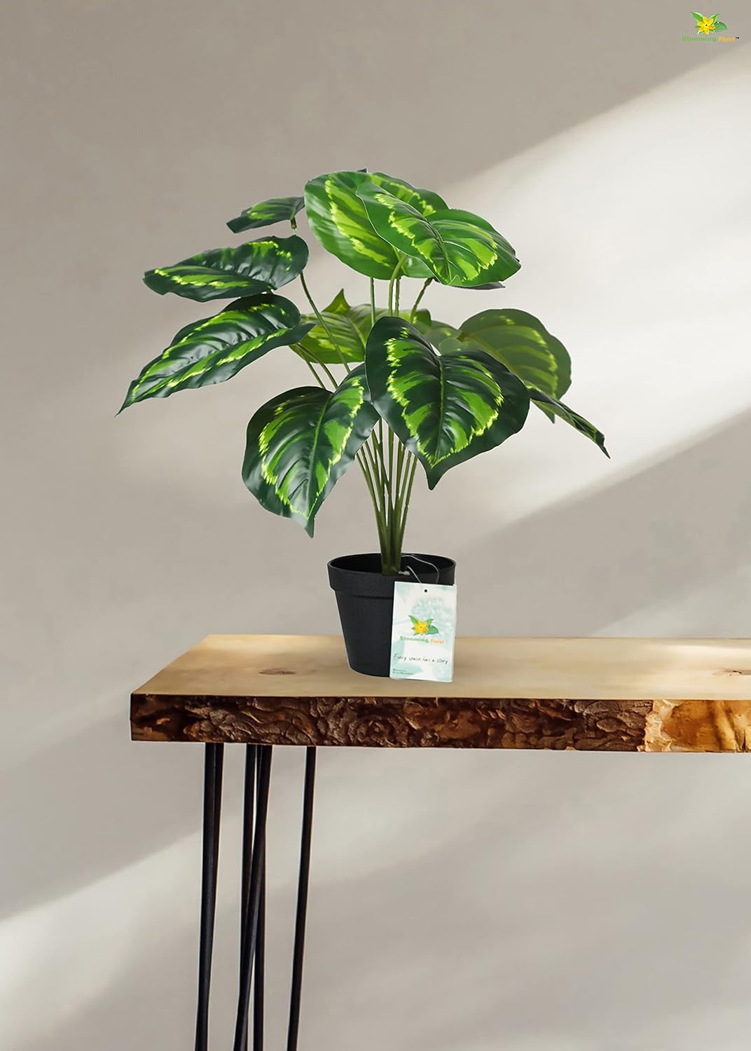 Artificial Calathea Plant - Image 3