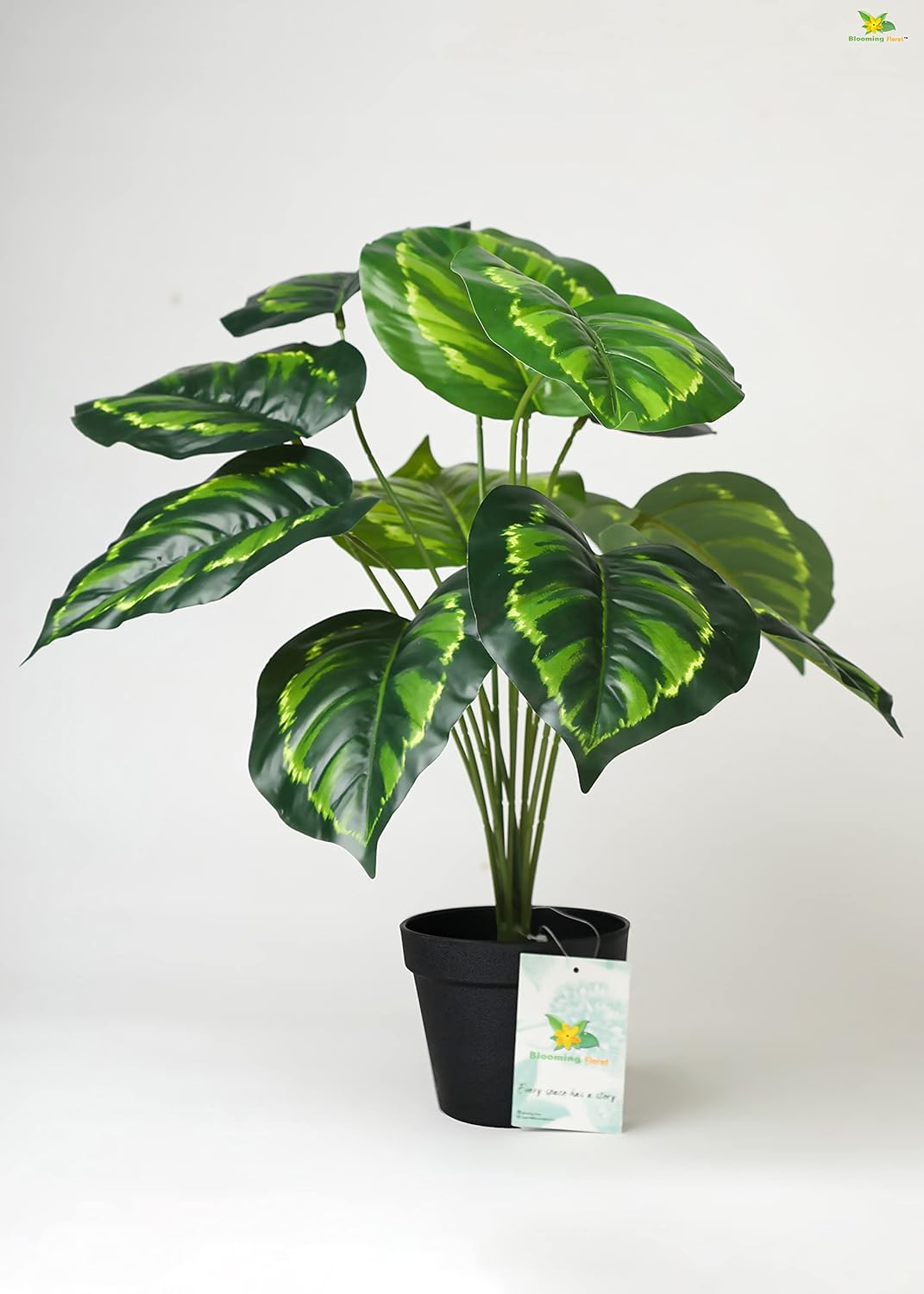 Artificial Calathea Plant - Image 5