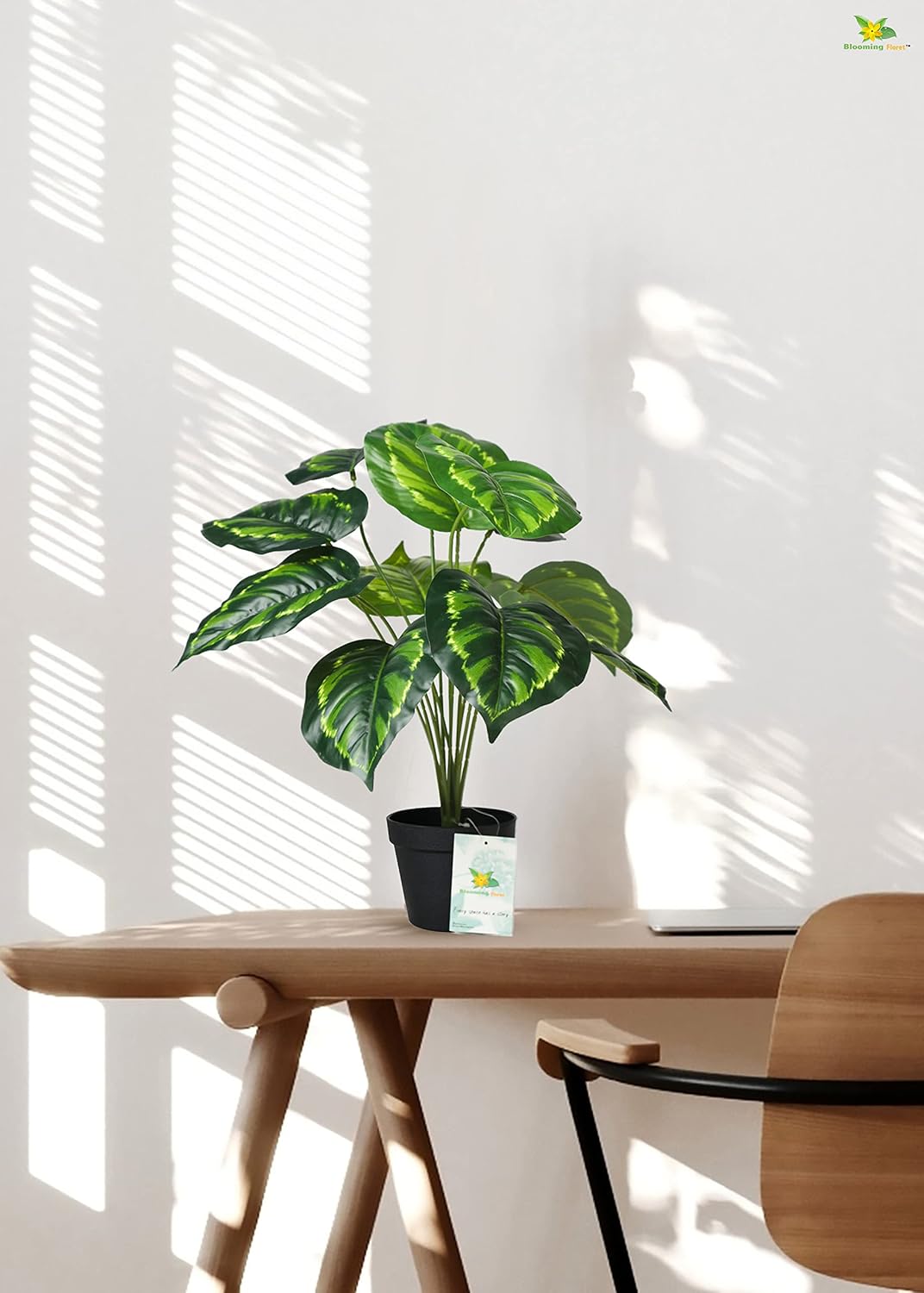 Artificial Calathea Plant - Image 4