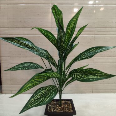 Artificial Calathea Plant
