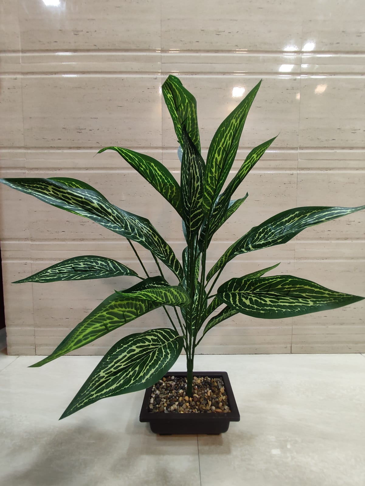 Artificial Calathea Plant