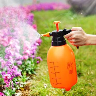 Spray Pump Bottle